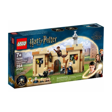 LEGO® Harry Potter 76395 Hogwarts™: Erste Flugstunde - Mr.bricksANDmore